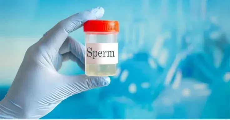 sperm donation