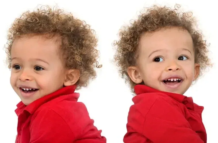 twin zygosity dna test