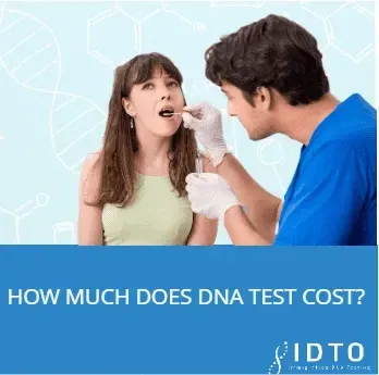 how much does dna paternity test cost in ny
