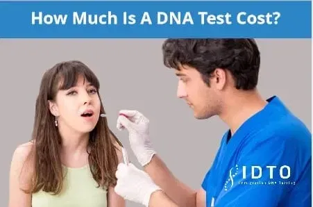 What is the price of paternity tests