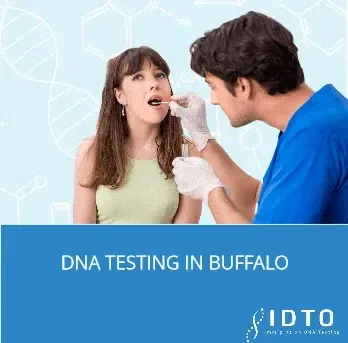 Paternity Testing Buffalo NY