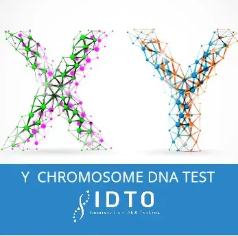 Y DNA TEST