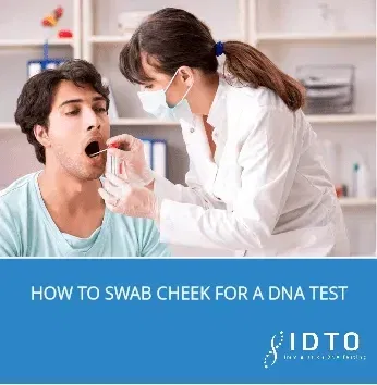 How To Swab Cheek For A DNA Test